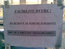 foto/forum/2011/th-img17505.jpg