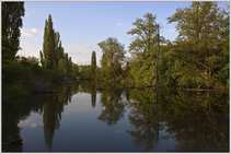 foto/forum/2011/th-img17533.jpg