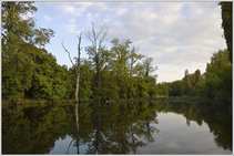 foto/forum/2011/th-img17534.jpg