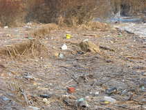 foto/forum/2011/th-img17558.jpg