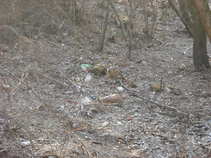 foto/forum/2011/th-img17559.jpg