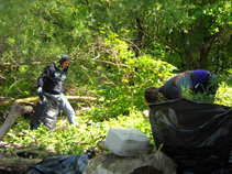 foto/forum/2011/th-img17562.jpg