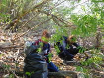 foto/forum/2011/th-img17563.jpg