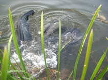 foto/forum/2011/th-img17566.jpg