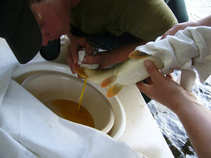 foto/forum/2011/th-img17569.jpg