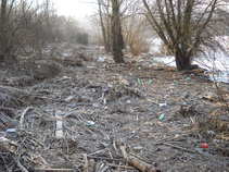 foto/forum/2011/th-img17575.jpg