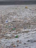 foto/forum/2011/th-img17578.jpg