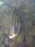 foto/forum/2011/th-img17614.jpg