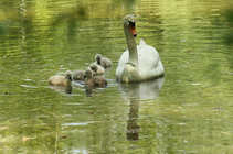 foto/forum/2011/th-img17615.jpg