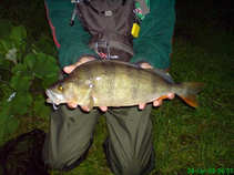 foto/forum/2011/th-img17633.jpg