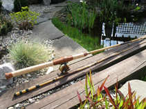 foto/forum/2011/th-img17640.jpg