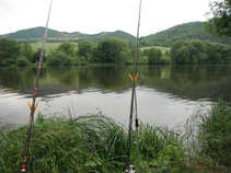 foto/forum/2011/th-img17658.jpg
