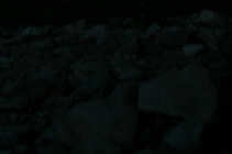 foto/forum/2011/th-img17695.jpg