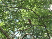 foto/forum/2011/th-img17713.jpg
