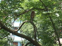 foto/forum/2011/th-img17715.jpg