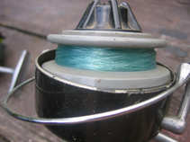 foto/forum/2011/th-img17729.jpg