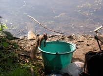 foto/forum/2011/th-img17731.jpg