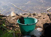 foto/forum/2011/th-img17732.jpg