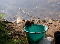 foto/forum/2011/th-img17733.jpg