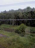 foto/forum/2011/th-img17744.jpg