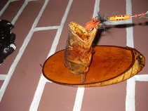 foto/forum/2011/th-img17749.jpg