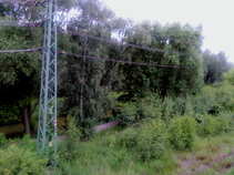 foto/forum/2011/th-img17755.jpg