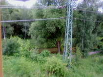 foto/forum/2011/th-img17756.jpg
