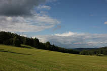foto/forum/2011/th-img17773.jpg