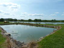 foto/forum/2011/th-img17791.jpg