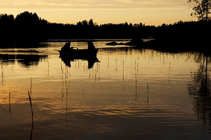 foto/forum/2011/th-img17826.jpg