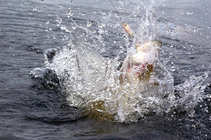 foto/forum/2011/th-img17828.jpg