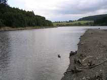 foto/forum/2011/th-img17852.jpg