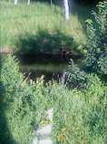 foto/forum/2011/th-img17858.jpg