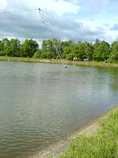 foto/forum/2011/th-img17859.jpg
