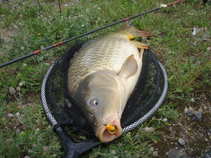 foto/forum/2011/th-img17872.jpg