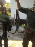 foto/forum/2011/th-img17874.jpg