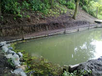 foto/forum/2011/th-img17901.jpg