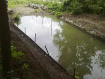 foto/forum/2011/th-img17902.jpg