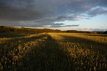 foto/forum/2011/th-img17904.jpg