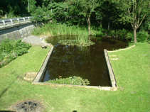 foto/forum/2011/th-img17905.jpg