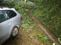 foto/forum/2011/th-img17907.jpg
