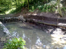 foto/forum/2011/th-img17910.jpg