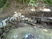 foto/forum/2011/th-img17911.jpg