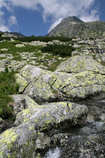 foto/forum/2011/th-img17920.jpg