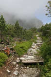 foto/forum/2011/th-img17921.jpg
