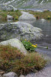 foto/forum/2011/th-img17923.jpg