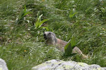 foto/forum/2011/th-img17925.jpg