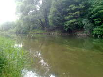 foto/forum/2011/th-img17932.jpg