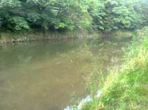 foto/forum/2011/th-img17933.jpg