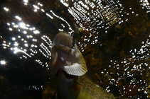 foto/forum/2011/th-img17939.jpg